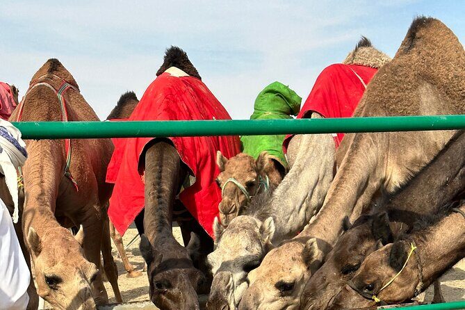 Luxury Overnight Desert Safari in Salalah - FAQ