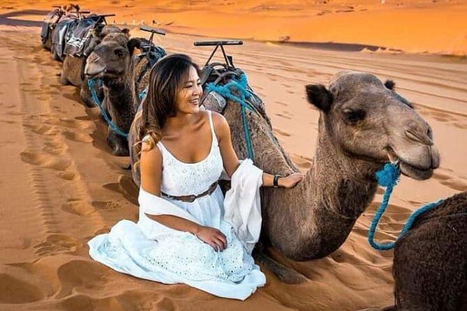 Luxury Overnight From Fez To Merzouga - An In-Depth Look at the Tour