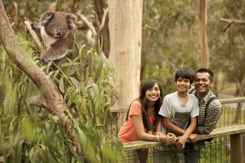 Luxury Phillip Island Tour for Families & Explorers 10 Max - Practicalities and Tips