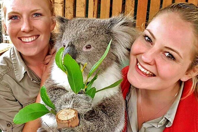 Luxury Phillip Island Tour for Families & Explorers [up to 10Pax] - How the Tour Works for You
