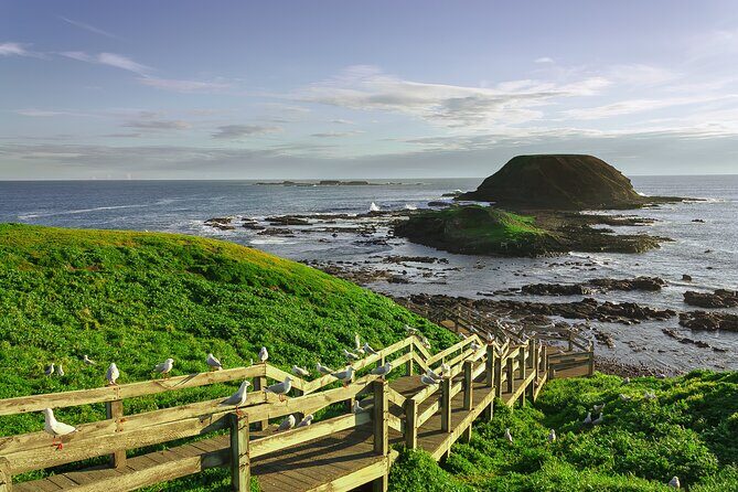 Luxury Phillip Island Tour for Families & Explorers [up to 10Pax] - Final Thoughts: Who Should Consider This Tour?