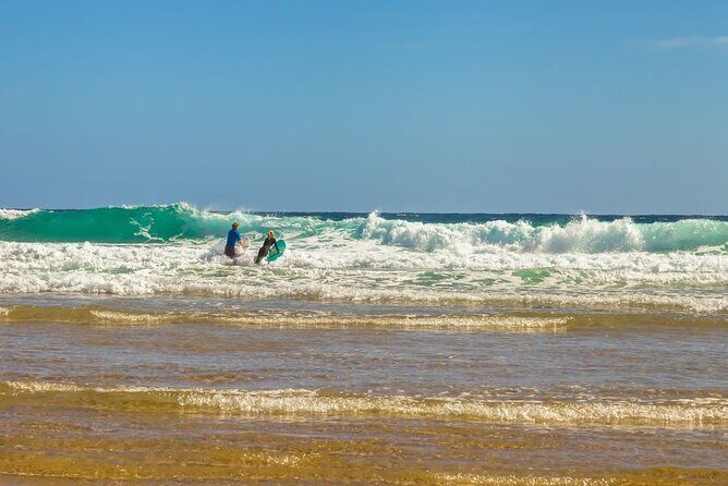 Luxury Phillip Island Tour for Families & Explorers [up to 10Pax] - FAQs