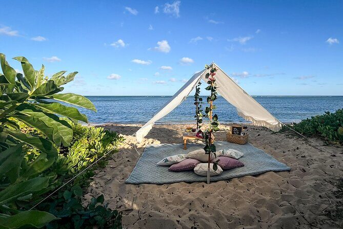 Luxury Picnic in Honolulu with Ocean & Crater Views - The Experience at a Glance