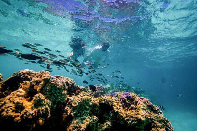 LUXURY PRIVATE Catamaran Bora Bora : Full-Day Trip - The Sum Up