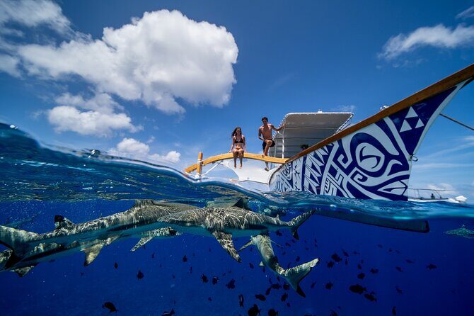 Luxury Private full day tour & Motu lunch in Bora-Bora - What to Expect from This Full-Day Bora Bora Tour