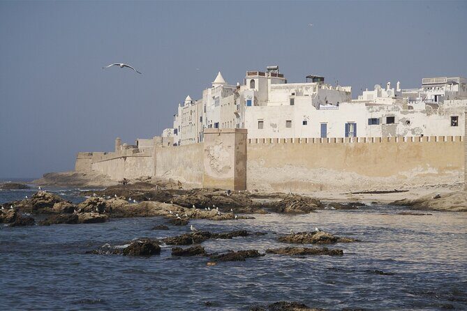 Luxury Private Full Day Trip To Essaouira - A Practical Look at the Luxury Private Full Day Trip to Essaouira