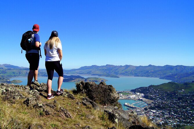 Luxury Private Guided Crater Rim Walk on Banks Peninsula - What Travelers Can Expect