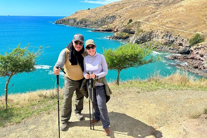 Luxury Private Guided Crater Rim Walk on Banks Peninsula - Authentic Experiences and Authentic Scenery