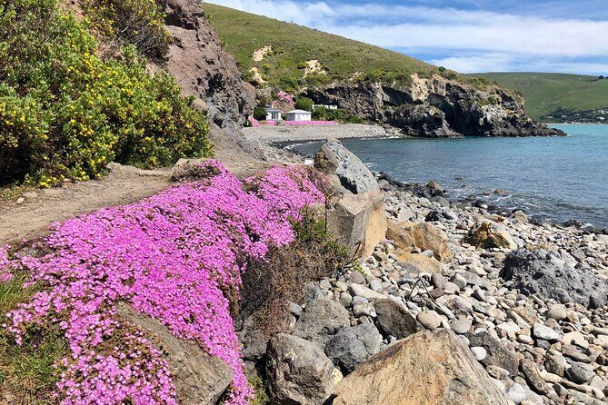 Luxury Private Guided Crater Rim Walk on Banks Peninsula - Who Is This Tour Best For?