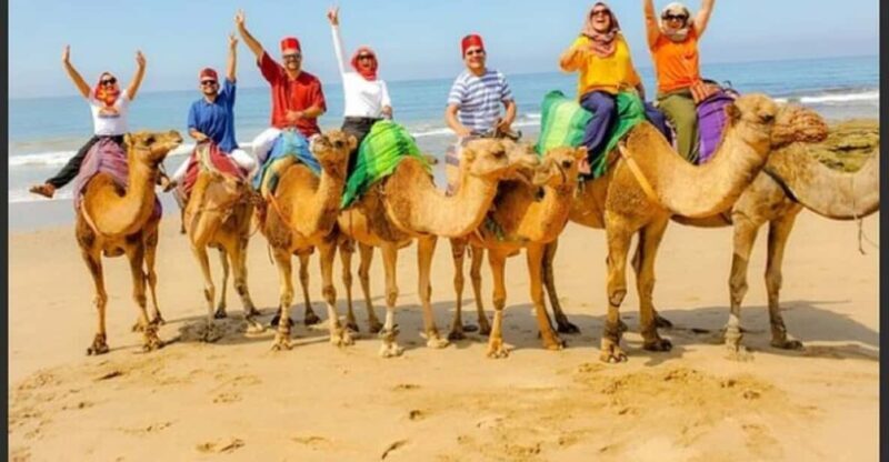 Luxury Private Tangier Tour from Malaga all inclusive - A Detailed Look at the Tour Experience