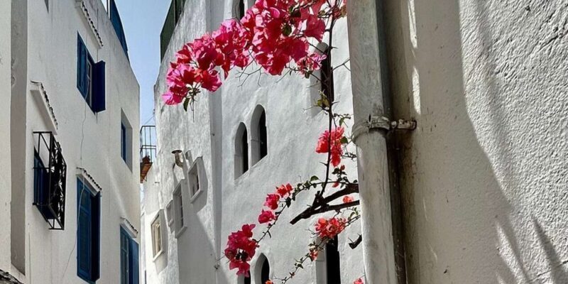 Luxury Private Tangier Tour from Marbella all inclusive - Who Would Love This Tour?