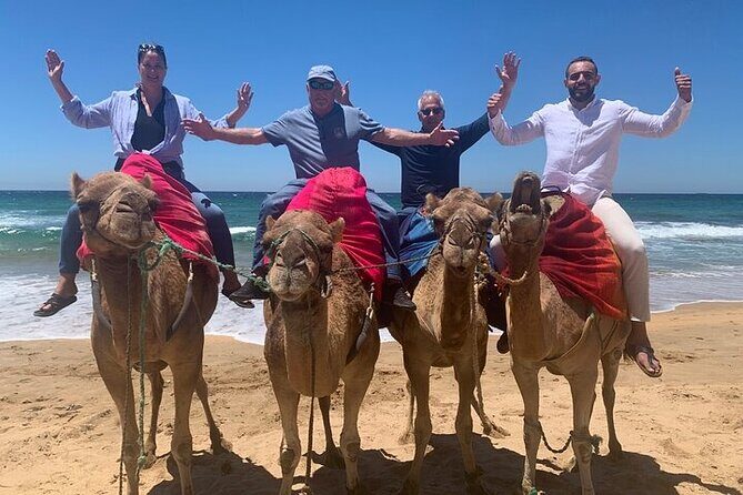 Luxury Private Tangier Tour with Lunch and Camel Ride - FAQ