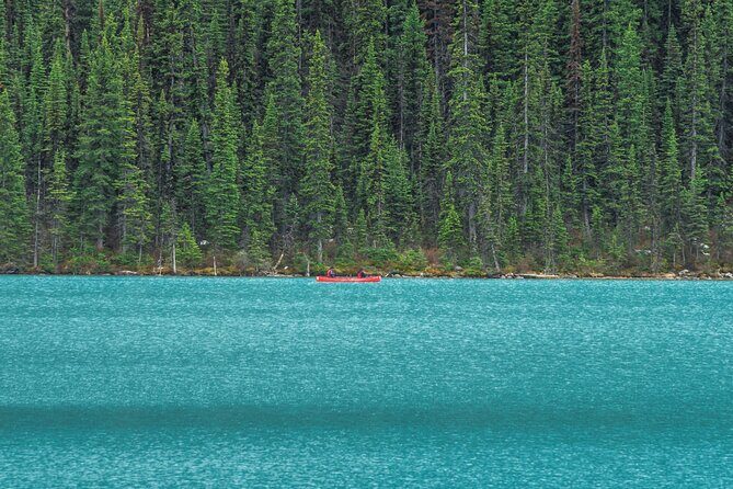 Luxury Private Tour of Lake Louise, Moraine, Peyto and Banff - Who Will Love This Tour?