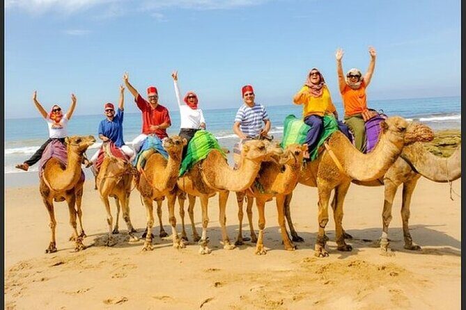 Luxury Private Tour with Pick Up from Cruise Ship All Inclusive - Key Points
