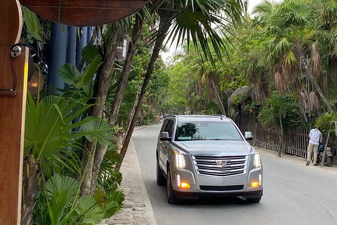 Luxury Private Transportation Cancun Airport to Tulum Hotel Zone - Key Points