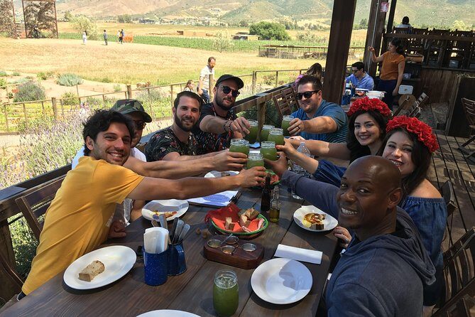 Luxury Private Wine Tasting Tour to Guadalupe Valley from San Diego - Key Points