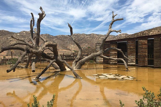 Luxury Private Wine Tasting Tour to Guadalupe Valley from San Diego - Cost and Value