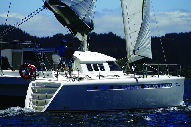 Luxury Sailing - Mori Rock Carvings - Taupo Sailing Adventures - Who Will Love This Tour?