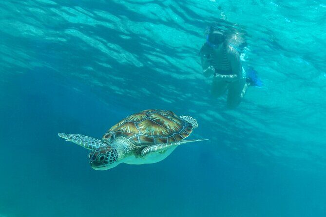 Luxury Sailing & Snorkeling Experience from Riviera Maya - The Itinerary: What You Can Expect