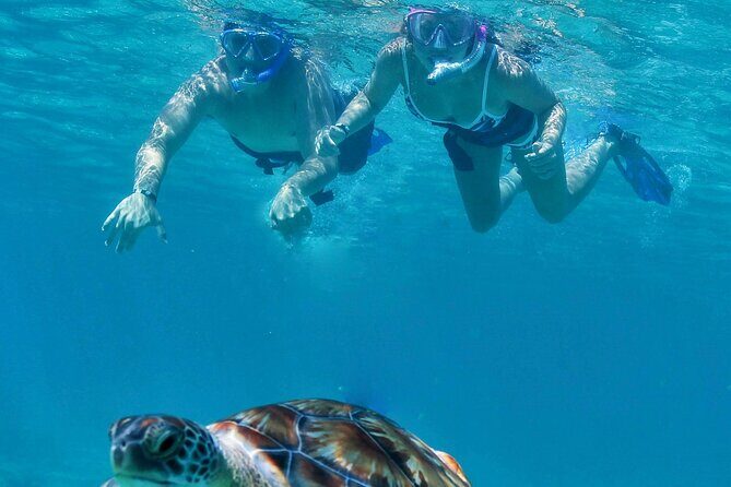 Luxury Sailing & Snorkeling Experience from Riviera Maya - Transportation and Logistics