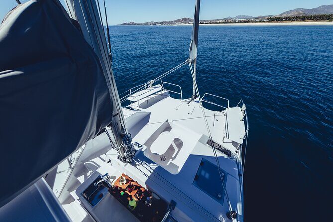 Luxury Sailing Whale Watch and The Arch (Dec 15 - Apr 15) - Authentic Experiences and Traveler Feedback