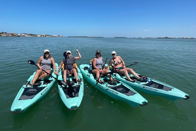 Luxury Single Kayak Tour To An Island Off Clearwater Beach! - Authentic Reviews: What Others Are Saying