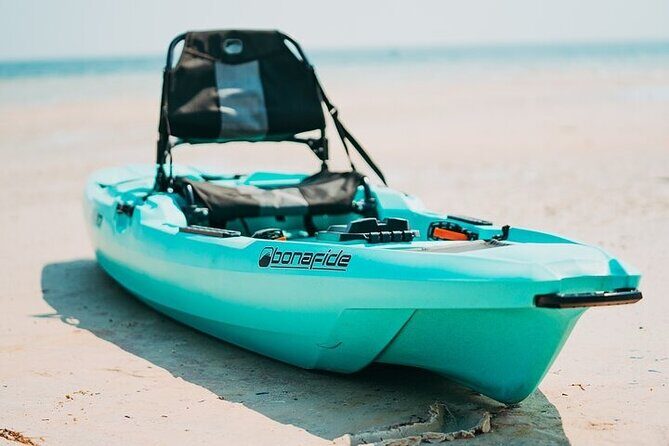 Luxury Single Kayak Tour To An Island Off Clearwater Beach! - Practical Tips for Your Trip