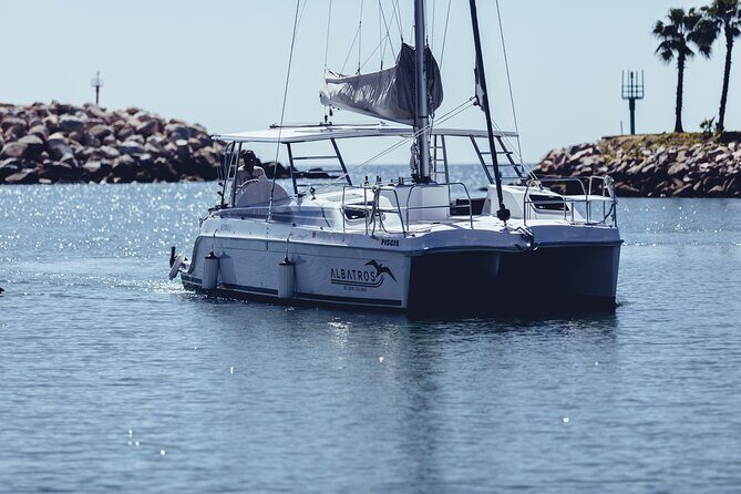 Luxury Snorkel Adventure in Cabo - Final Thoughts