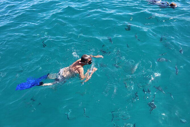 Luxury Snorkel Tour in Sailing Catamaran - Who Should Consider This Tour?