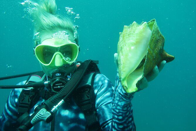 Luxury Snorkeling on Your Vacation Exclusively Private Guaranteed - Why Choose This Tour? The Benefits in Detail