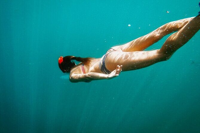 Luxury Snorkeling Tour in Cabo San Lucas - The Experience Onboard: Comfort Meets Class