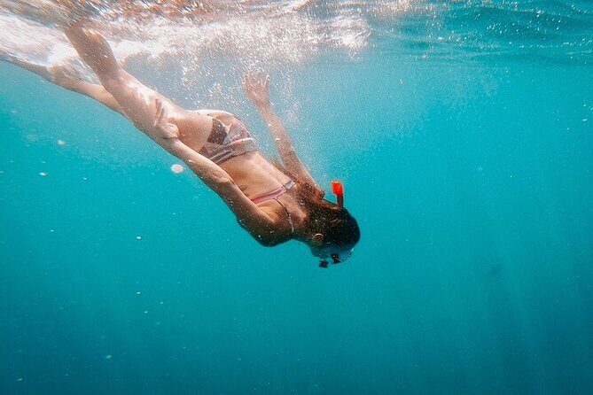 Luxury Snorkeling Tour in Cabo San Lucas - FAQs