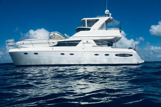 Luxury Sunset Cruise in Fort Myers and Naples Florida - A Closer Look at the Experience