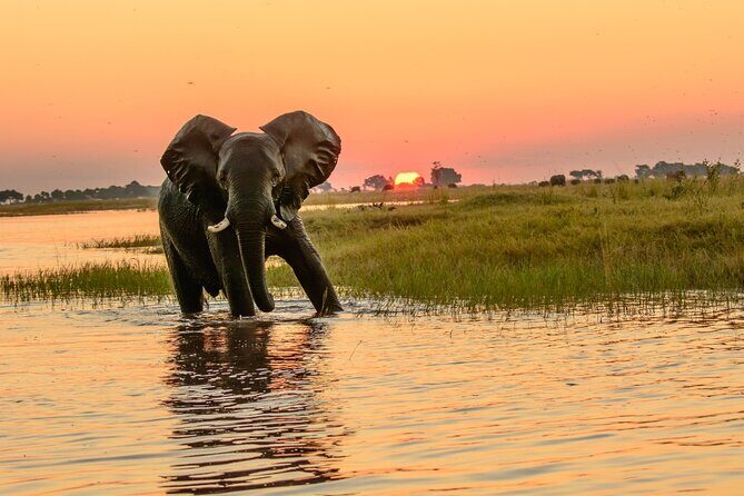 Luxury Sunset River Cruise on the Zambezi - FAQ