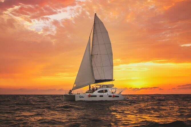 Luxury Sunset Sailing Cruise in Cancun with Light Dinner and Open Bar - Analyzing the Value