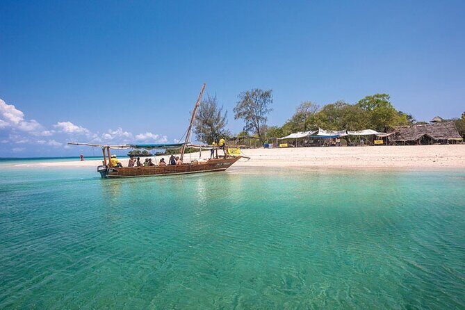 Luxury Swimming with DOLPHINS IN MNEMBA and LUNCH - An In-Depth Look at the Mnemba Dolphin Tour