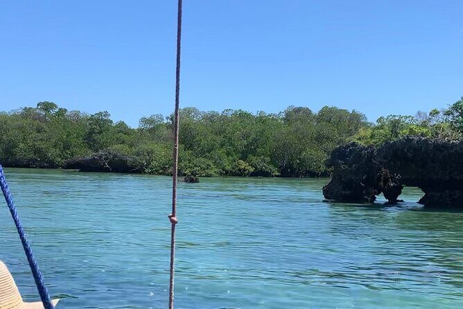 Luxury Swimming with DOLPHINS IN MNEMBA and LUNCH - Final Impression: Who Is This Tour Best For?