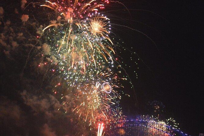 Luxury Sydney Harbor New Years Eve Fireworks Dinner Cruise 2026-7 - The Experience: Pros and Cons