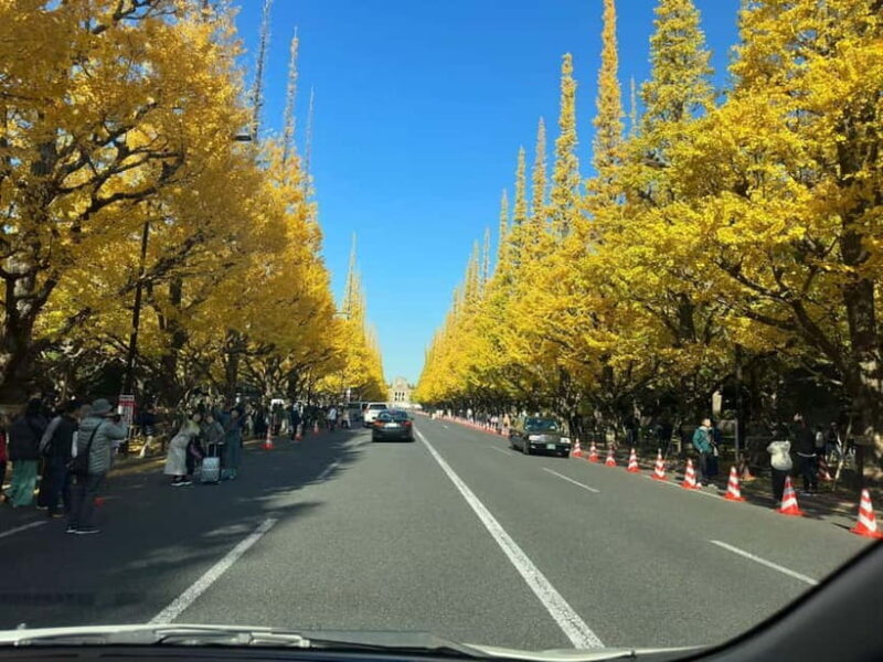 Luxury Tokyo City Attractive Full Day Private Tour - Practical Tips for Making the Most of This Tour