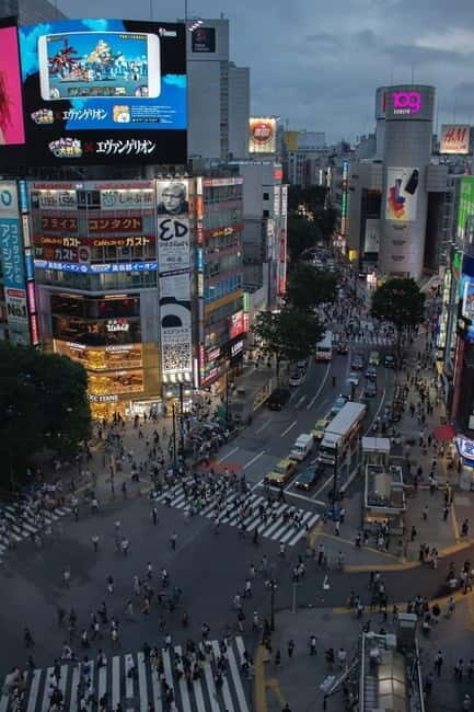 Luxury Tokyo City Attractive Full Day Private Tour - Who Will Love This Experience?