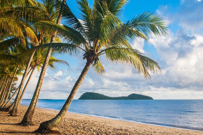 Luxury Van, Private Transfer, Cairns Airport - Palm Cove. - In-Depth Review of the Cairns Airport to Palm Cove Private Transfer