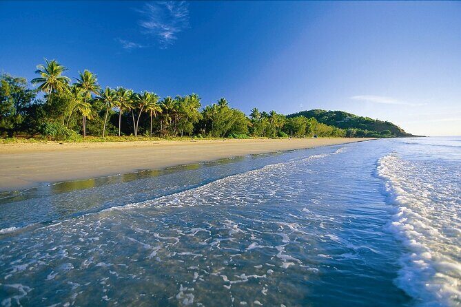Luxury Van, Private Transfer, Cairns Airport - Port Douglas. - The Sum Up: Is This Transfer Right for You?