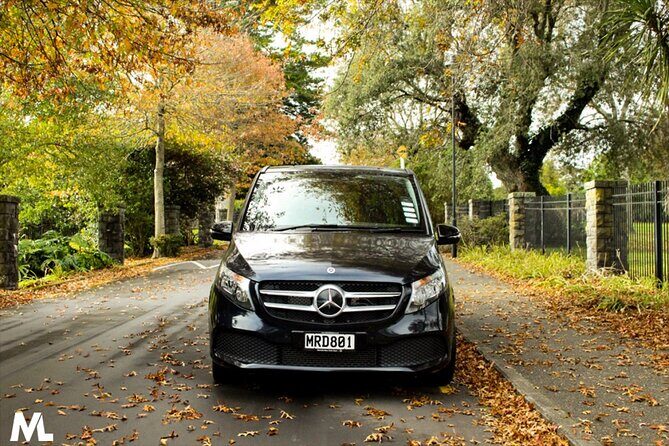 Luxury Van - Sydney Airport Private Arrival Transfer - The Sum Up