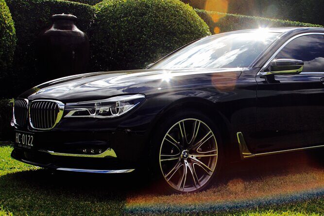 Luxury Van - Sydney Airport Private Departure Transfer - What to Expect from the Sydney Airport Private Departure Transfer