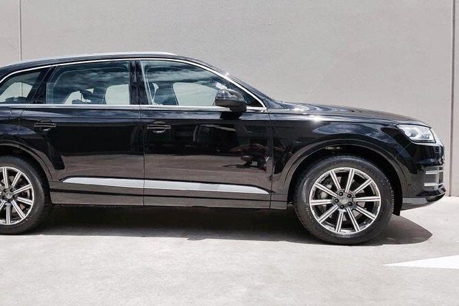 Luxury Van - Sydney Airport Private Departure Transfer - Who Is This Service Best For?