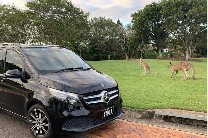 Luxury Vehicle Brisbane Airport to Brisbane Hotel Transfer - Frequently Asked Questions
