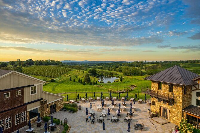 Luxury Wine Tour in Washington DC to Loudoun County Vineyards - Key Points