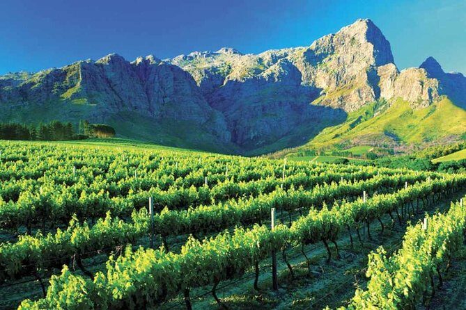 Luxury Wine Tour with Lunch - A Complete Guide to the Luxury Cape Winelands Tour