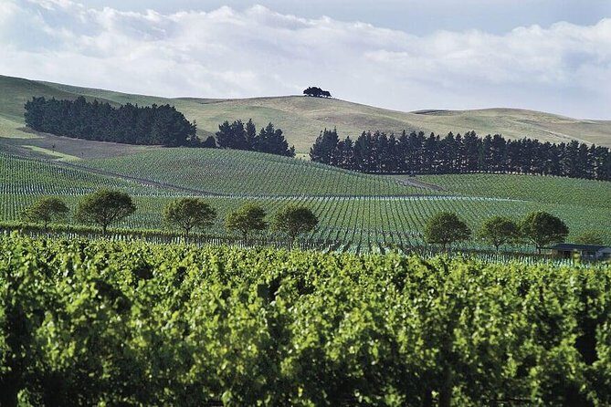 Lyttelton Cruise Excursions: Christchurch Sightseeing with Sheep Farm - An In-Depth Look at the Tour