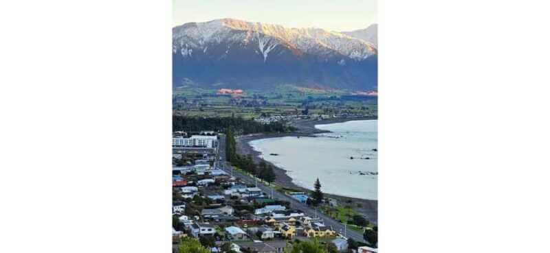 Lyttelton Port: Day Tour 3 options for Cruise Passengers - FAQ